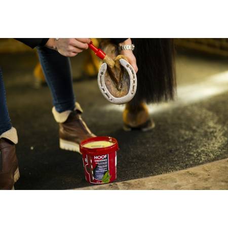 Cavalier appliquant la graisse pour sabots Hoof Dressing Hiver Kevin Bacon's sous le sabot d'une cheval