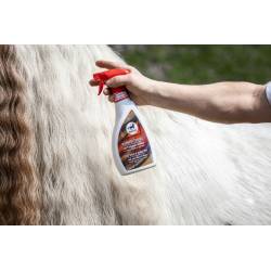Application du démêlant lustrant Leovet sur la crinière d'un cheval