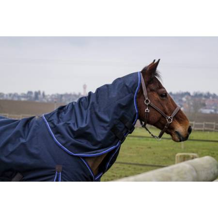 Couvre-cou 0 g Classic 1200 D Equithème sur un cheval