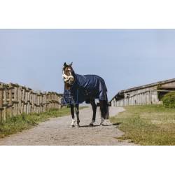 Couverture 0 g Classic High Neck 1200 D Equithème sur un cheval vue de 3 quarts