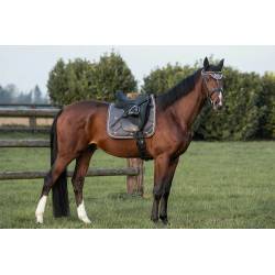 Tapis de dressage Night Collection Anthracite Back on Track sur un cheval sellé dans une prairie