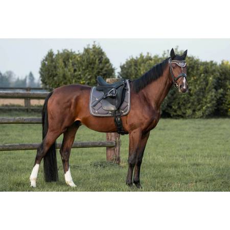Tapis de dressage Night Collection Anthracite Back on Track sur un cheval sellé dans une prairie