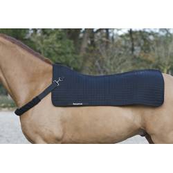 Collier pour chauffe dos Back warmer Back on Track sur un cheval