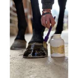 Application avec un pinceau de l'huile pour sabot Nutri Pied sur le sabot d'un cheval