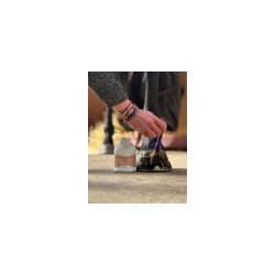 Application avec un pinceau de l'huile pour sabot Forti Piedsur le sabot d'un cheval