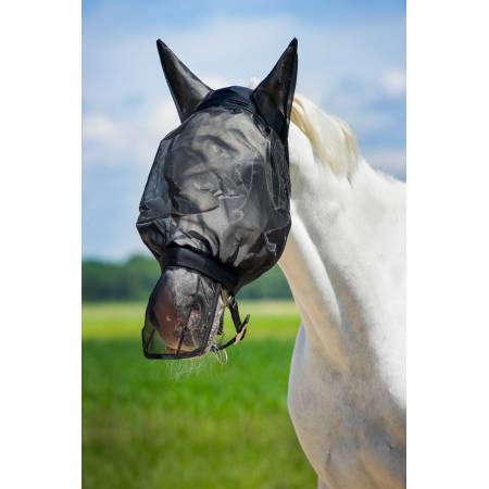 Protège naseaux anti-insectes Norton sur un cheval avec un masque