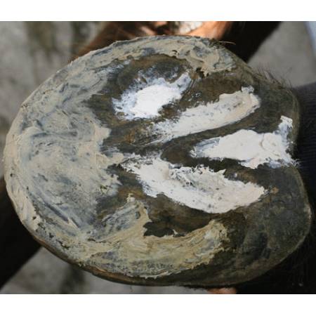 Pot de mastic pour sabots Artimud 300 g Red Horse sur la fourchette du sabot d'un cheval