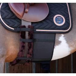 Bande de respect Norton sur un cheval sellé