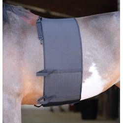 Bande de respect Norton sur un cheval sans selle