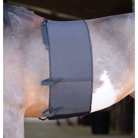 Bande de respect Norton sur un cheval sans selle