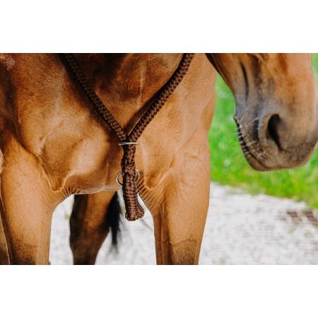 Collier éthologique Norton marron sur l'encolure d'un cheval