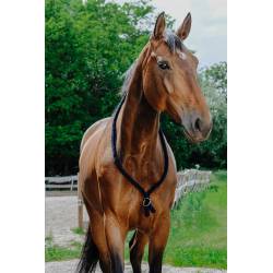 Collier éthologique Norton marine sur l'encolure d'un cheval