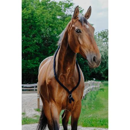 Collier éthologique Norton marine sur l'encolure d'un cheval