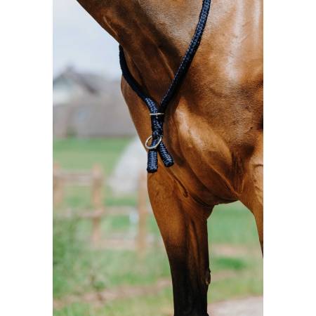 Zoom sur un collier éthologique Norton marine sur l'encolure d'un cheval