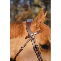 Zoom sur le haut du filet ergonomique à pont Manet T de T havanne sur un cheval