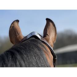 Zoom sur la têtière du filet ergonomique à pont Raphaël T de T havane sur un cheval