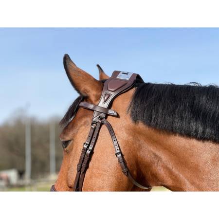 Zoom sur le haut du Filet ergonomique à pont Chagall T de T havane sur un cheval