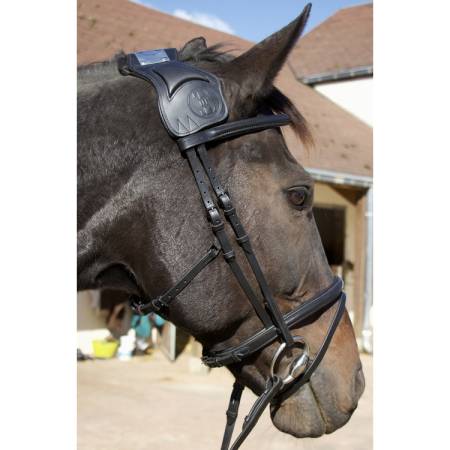 Filet ergonomique à pont Vargas T de T noir sur un cheval