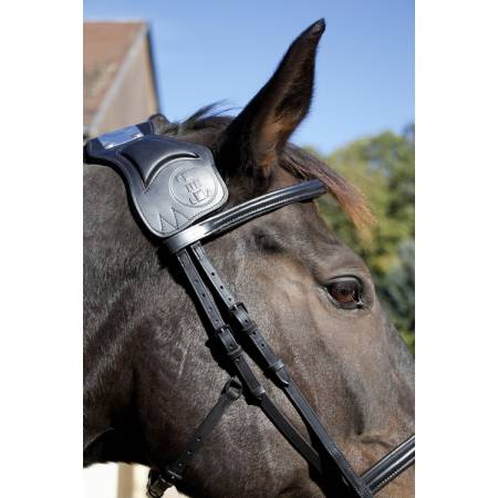 Zoom sur le filet ergonomique à pont Vargas T de T noir sur un cheval