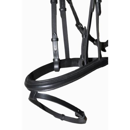 Zoom sur la muserolle du filet ergonomique à pont Vargas T de T noir