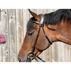 Filet essentiel confort sans muserolle T de T havane sur un cheval vue de profil
