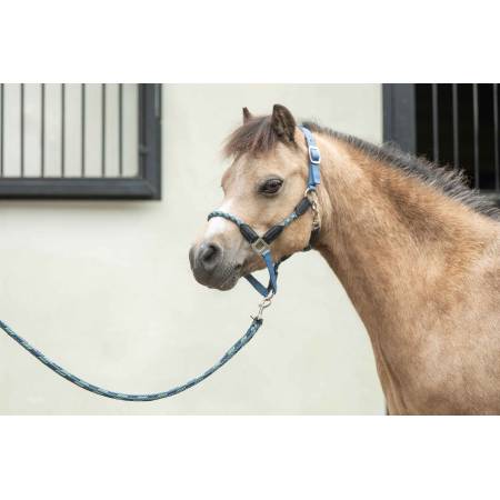Licol Nele bleu HKM sur un poney Shetland