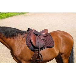 Tapis de selle Impulsion marron Equithème sur un cheval bai