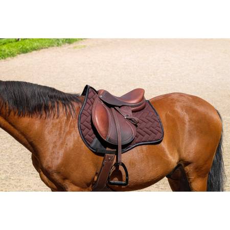 Tapis de selle Impulsion marron Equithème sur un cheval bai