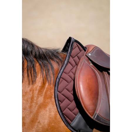 Zoom sur l'avant du tapis de selle Impulsion marron Equithème sur un cheval bai