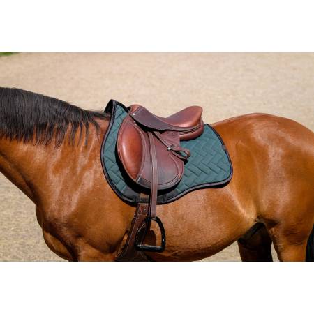 Tapis de selle Impulsion vert Equithème sur un cheval bai