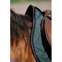 Zoom sur l'avant du tapis de selle Impulsion vert Equithème sur un cheval bai