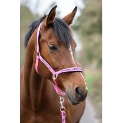 Ensemble licol et longe Crystal HKM rose sur un poney vue de face