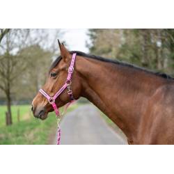 Ensemble licol et longe Crystal HKM rose sur un poney vue de profil