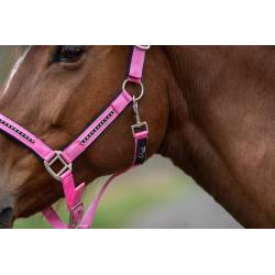 Zoom sur le licol Crystal HKM rose sur un poney