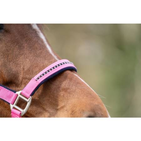 Zoom sur la muserole du licol Crystal HKM rose sur un poney