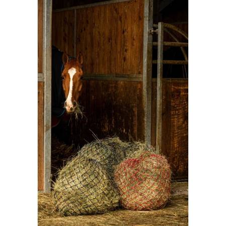 Filets à foin Zari Hippo-Tonic devant le box d'un cheval