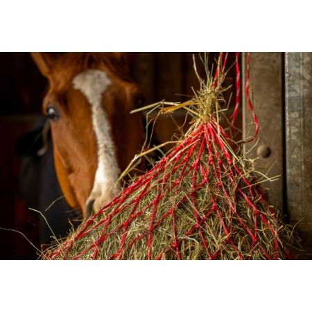 Cheval qui mange dans un filet à foin Zari rouge Hippo-Tonic