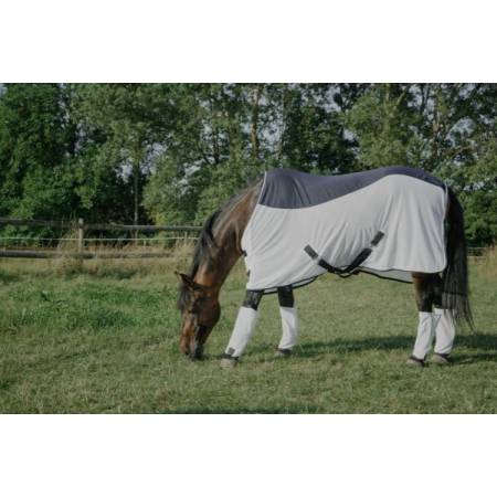 Chemise Flycool Equithème sur un cheval qui broute