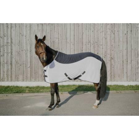 Chemise Flycool Equithème sur un cheval