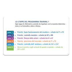 Les 6 étapes du Training 1, livre d'exercices d'équitation en italien par Michel Robert