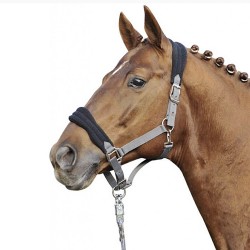 Licol Classic Confort HKM noir et gris sur un cheval