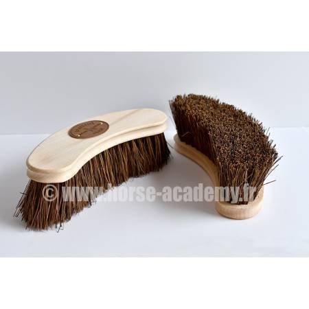 Brosses bananes Bassine poils raides Borstiq vue de dessus