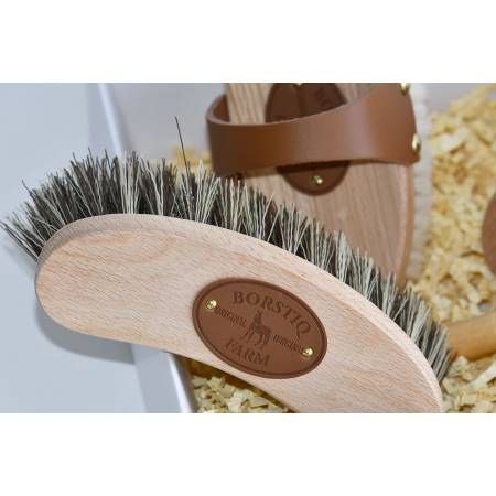 Zoom sur la box Pansage Borstiq