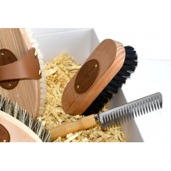 Zoom sur les accessoires de pansage de la box Pansage Borstiq