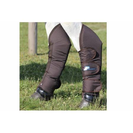 Protections de transport Travel Performance marron sur les postérieurs d'un cheval