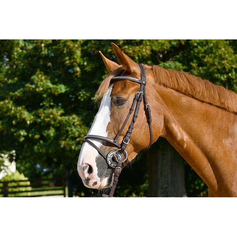 FSS POSH SILVER Metal Bar Clencher Browband - German Comfort Padded, Curve Wave U-Shaped, Leather, Silver