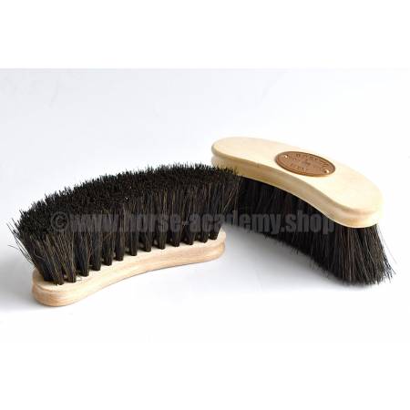 Brosses incurvées Arenga Borstiq