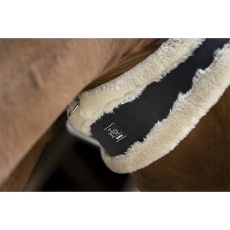 Zoom sur la sangle noire et mouton écru XTR Norton porté par un cheval