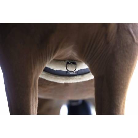 Vue du ventre d'un détail de la sangle Sangle mouton XTR Norton porté par un cheval