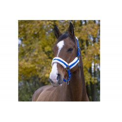 Licol mouton Teddy Norton bleu porté par un cheval